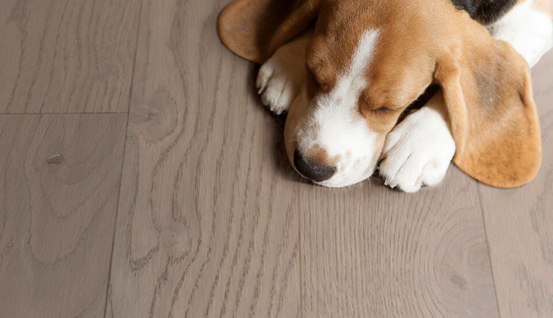 比利時PARKY高科技實木復(fù)合地板,進(jìn)口地板,環(huán)保地板