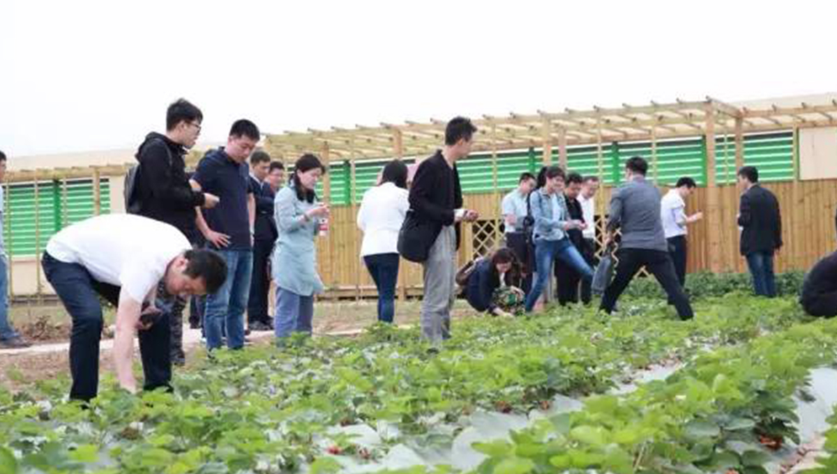 “2017年第五季室內(nèi)設(shè)計(jì)-中國行”青島站 | 驚“天”動(dòng)地,“鋒”起云涌 7 “2017年第五季室內(nèi)設(shè)計(jì)-中國行”青島站 | 驚“天”動(dòng)地,“鋒”起云涌 7