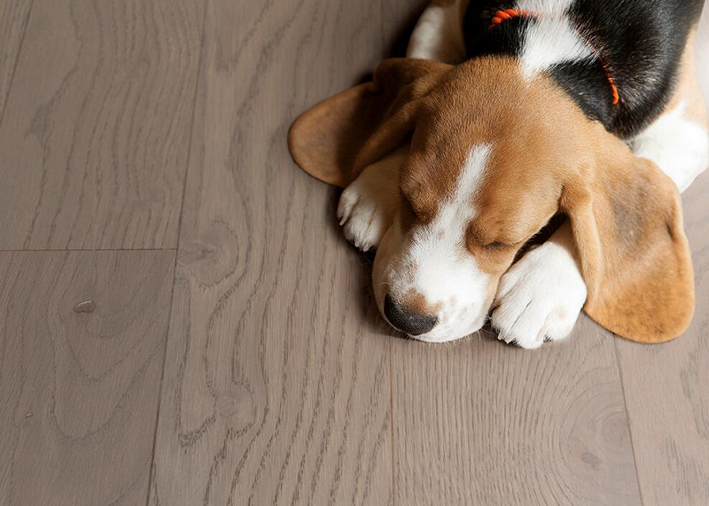 得高抗菌型環保地板，讓家居更安心 圖片7