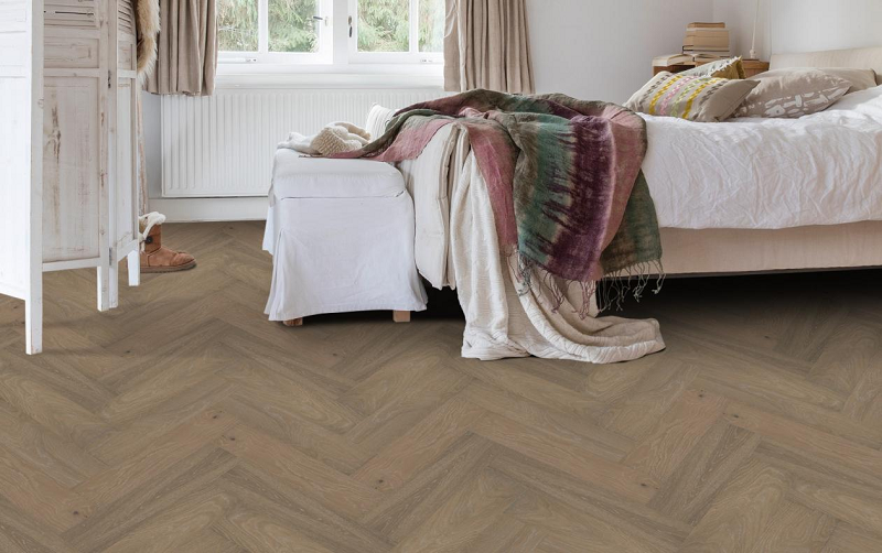 逐夢騎跡，得高助夢 圖片4