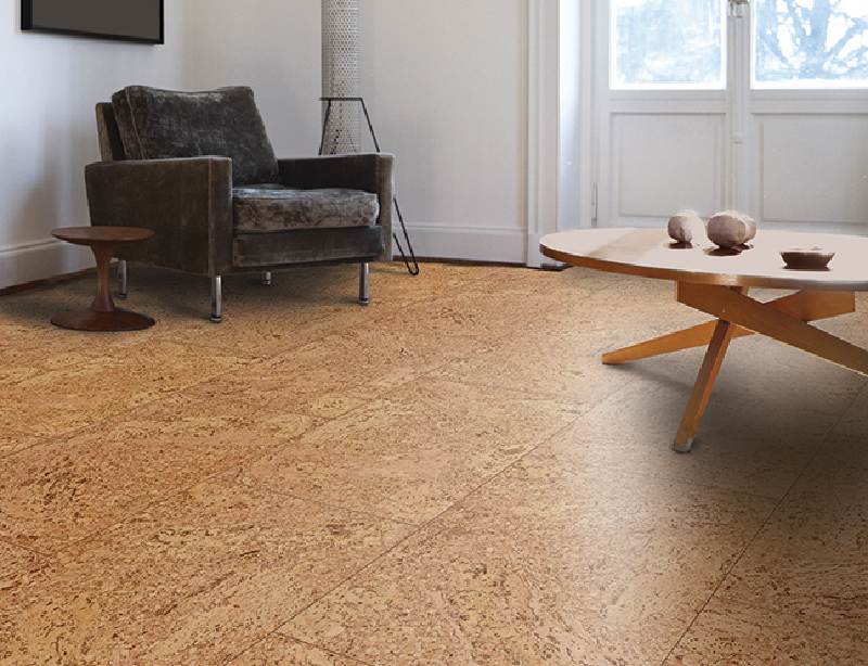 得高軟木環(huán)保地板,給孩子親膚的呵護(hù) 圖片1 得高軟木環(huán)保地板,給孩子親膚的呵護(hù) 圖片1