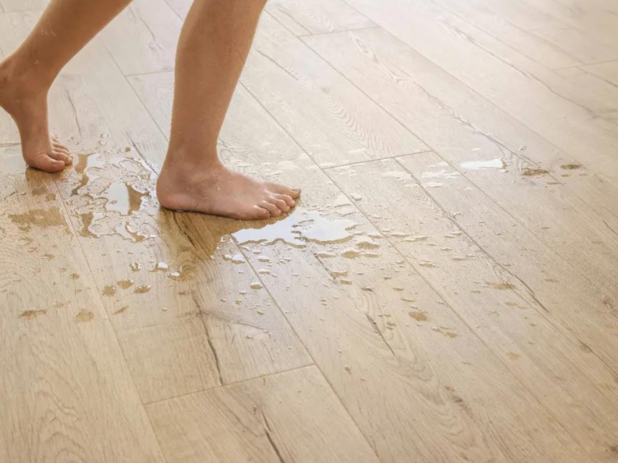 得高Quick-Step進口地板,革新之變,全新享受 圖片19 得高Quick-Step進口地板,革新之變,全新享受 圖片19