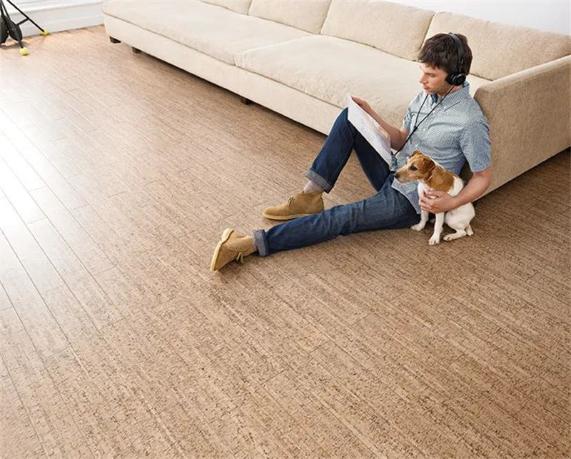 進(jìn)口地板，給家人長久的暖心陪伴 圖片 4