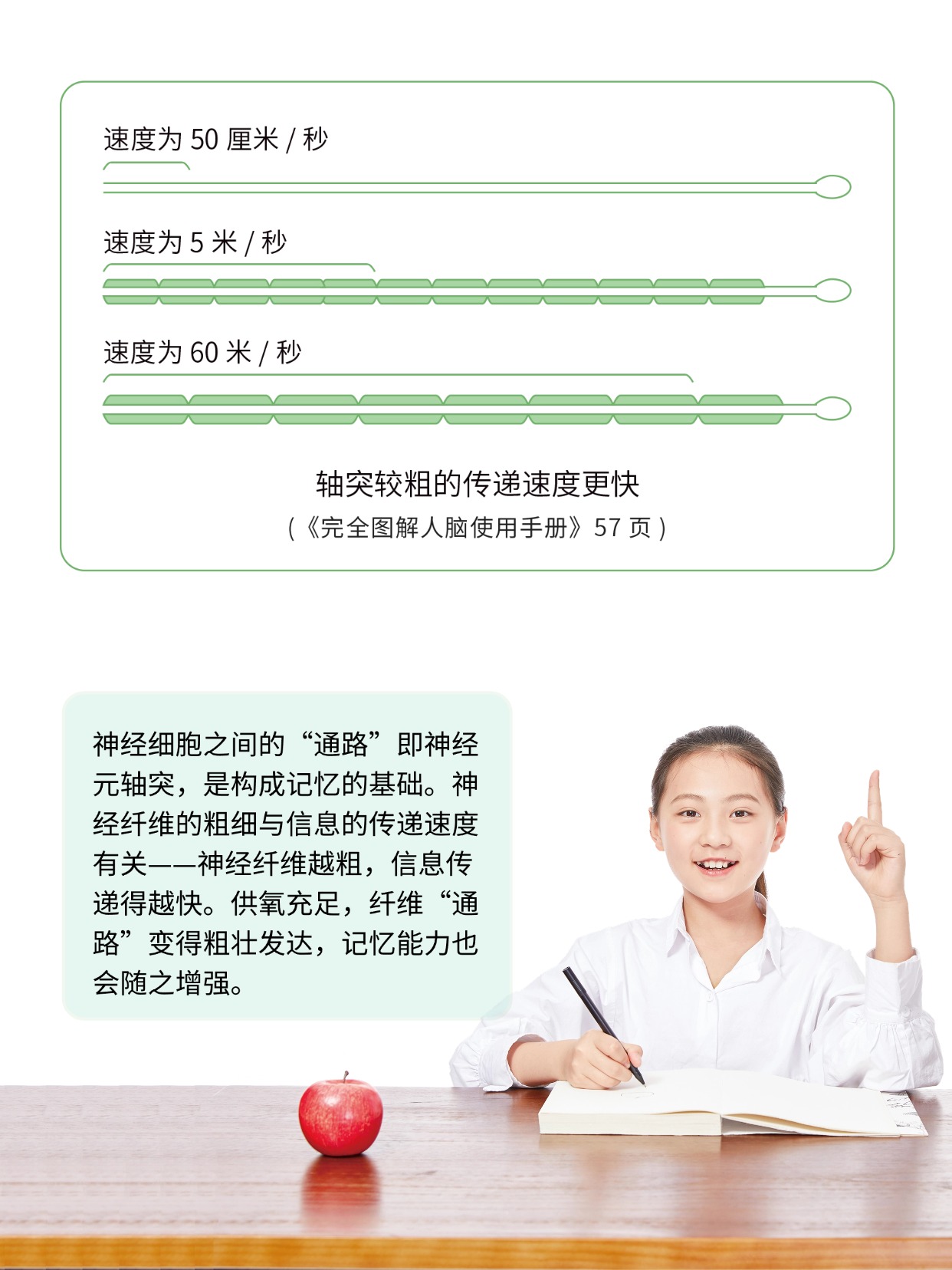 你聽說過能補氧的桌子嗎?有娃家庭直接抄作業(yè) 圖片8 你聽說過能補氧的桌子嗎?有娃家庭直接抄作業(yè) 圖片8
