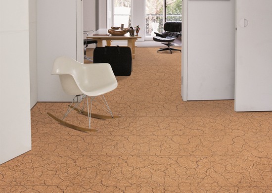 如何保養軟木地板 如何保養軟木地板