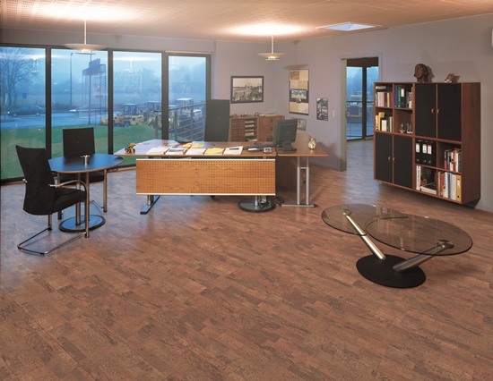 掌握軟木地板冬季保養技巧,輕松延長使用壽命 掌握軟木地板冬季保養技巧,輕松延長使用壽命