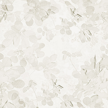 淡雅灰調6019B-VD4