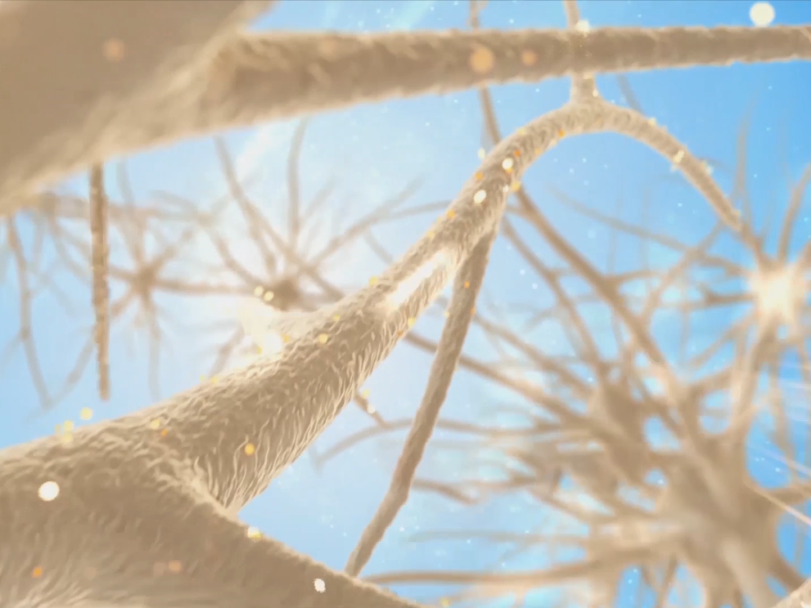 富氧讓你的大腦效率從2G變5G! image1 富氧讓你的大腦效率從2G變5G! image1